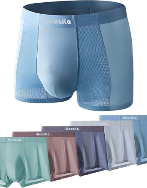 Ice Silk Mesh Mens Underwear - Seamless Trunks for Men - Breathable Boxer Briefs  5-Pack